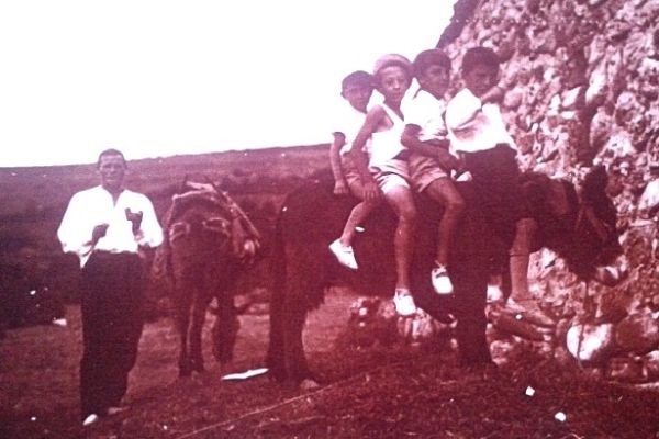 platero-prueba-bis-714x4104C706987-B3C3-31DD-D04D-21026DF59D9C.jpg