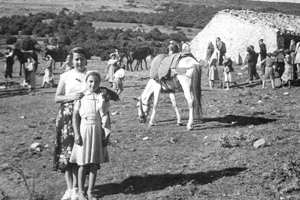 san-bartolo-y-mulo-730x410BAA0A1EC-031F-A7A5-9B4E-CEC6EF6AF700.jpg